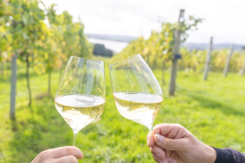 Lympstone Manor Hotel Restaurant & Vineyard - Relais & Chateaux Exmouth Dış mekan fotoğraf