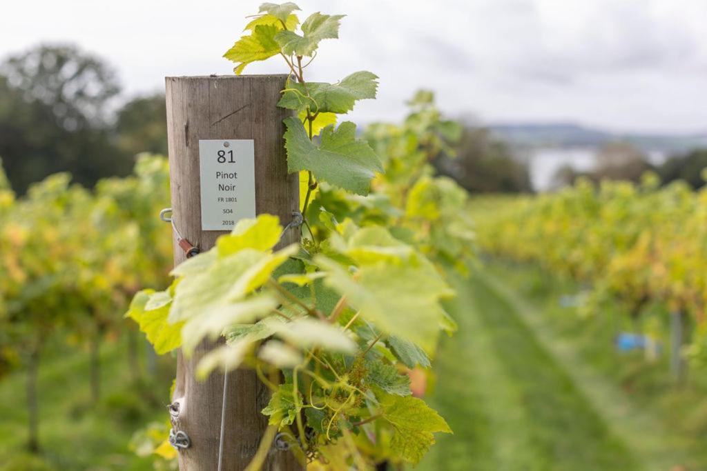 Lympstone Manor Hotel Restaurant & Vineyard - Relais & Chateaux Exmouth Dış mekan fotoğraf