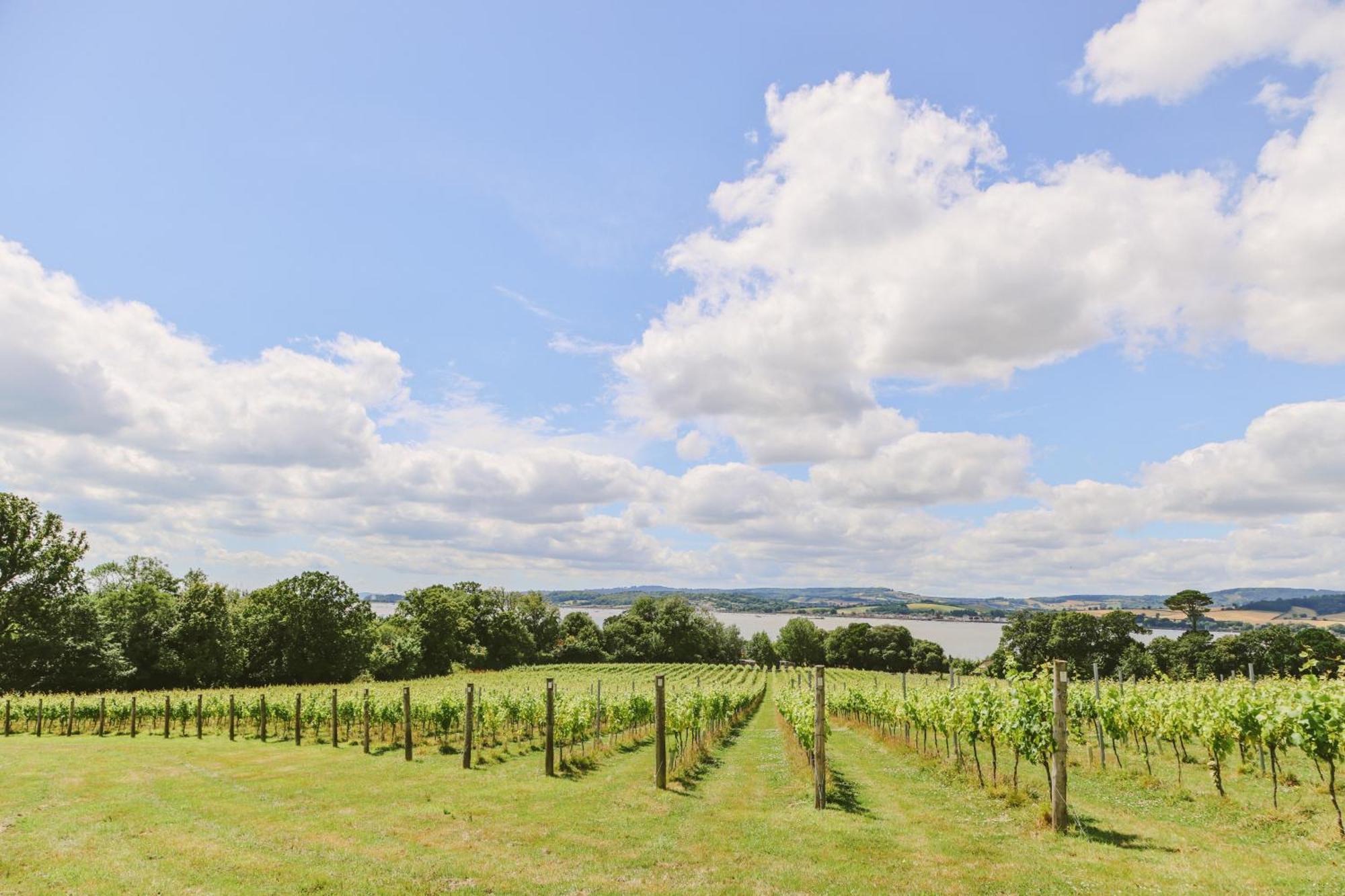 Lympstone Manor Hotel Restaurant & Vineyard - Relais & Chateaux Exmouth Dış mekan fotoğraf