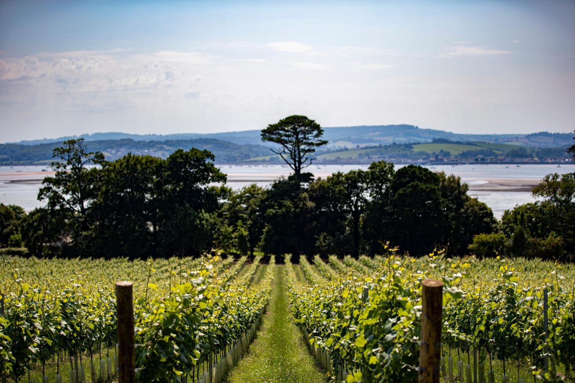 Lympstone Manor Hotel Restaurant & Vineyard - Relais & Chateaux Exmouth Dış mekan fotoğraf