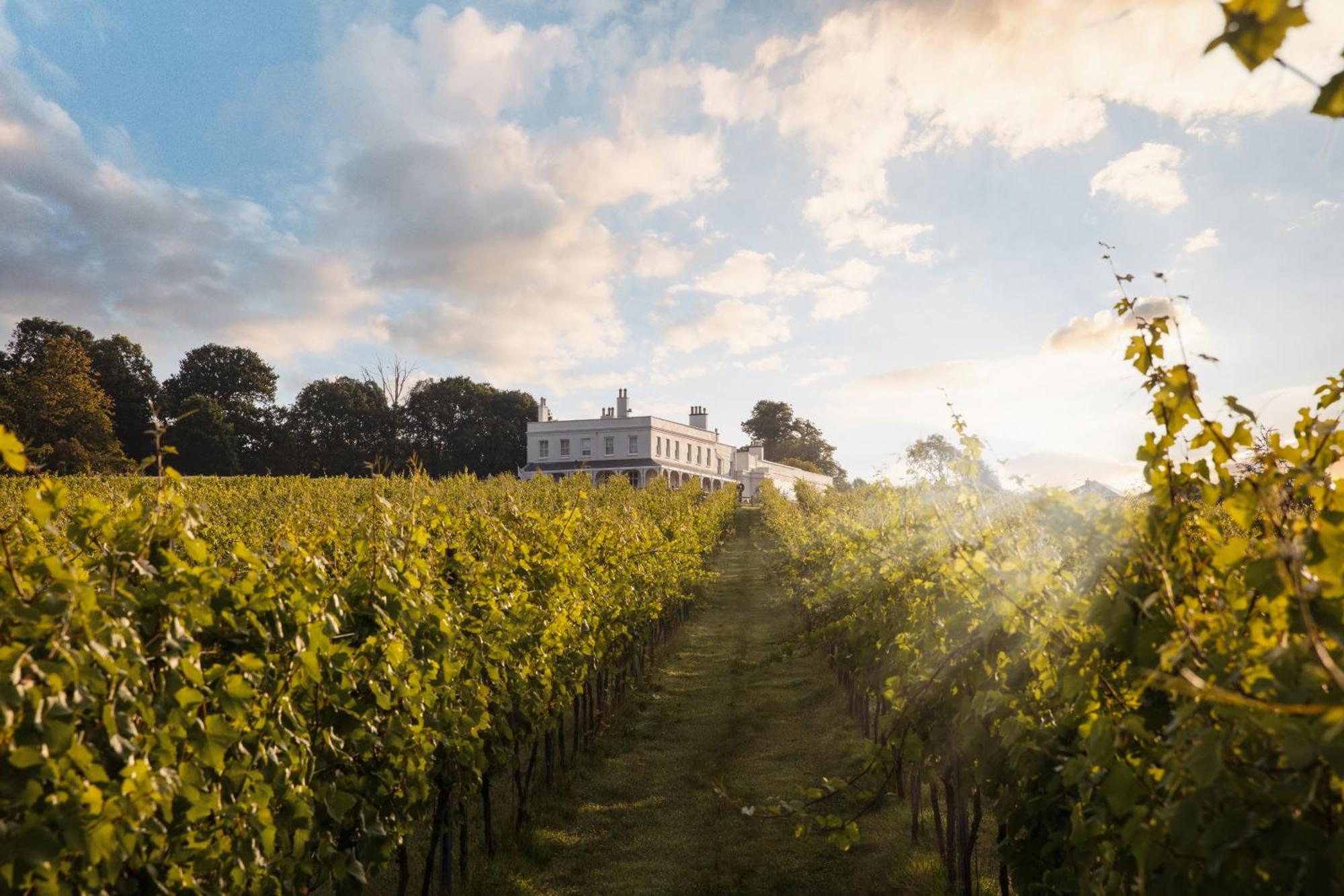 Lympstone Manor Hotel Restaurant & Vineyard - Relais & Chateaux Exmouth Dış mekan fotoğraf